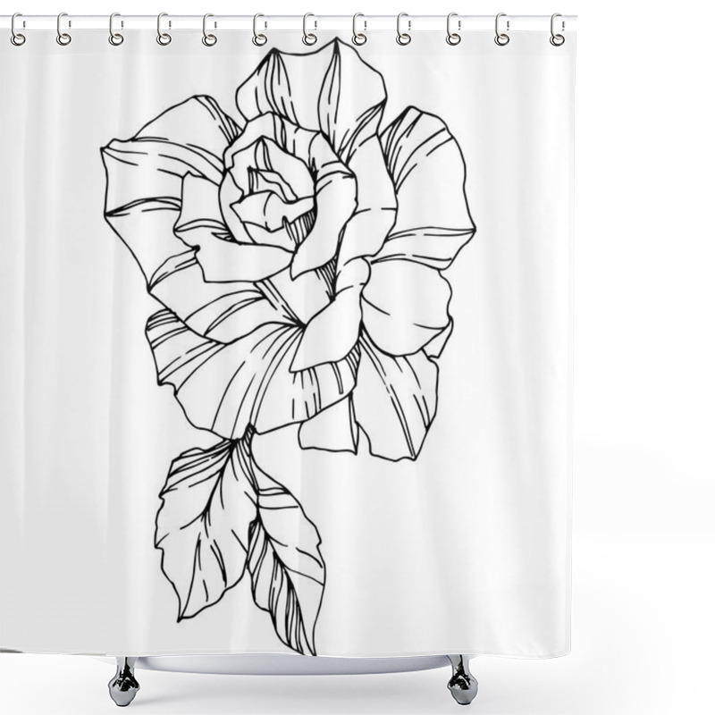 Personality  Vector Rose. Floral Botanical Flower. Engraved Ink Art. Isolated Rose Illustration Element. Beautiful Spring Wildflower Isolated On White. Shower Curtains