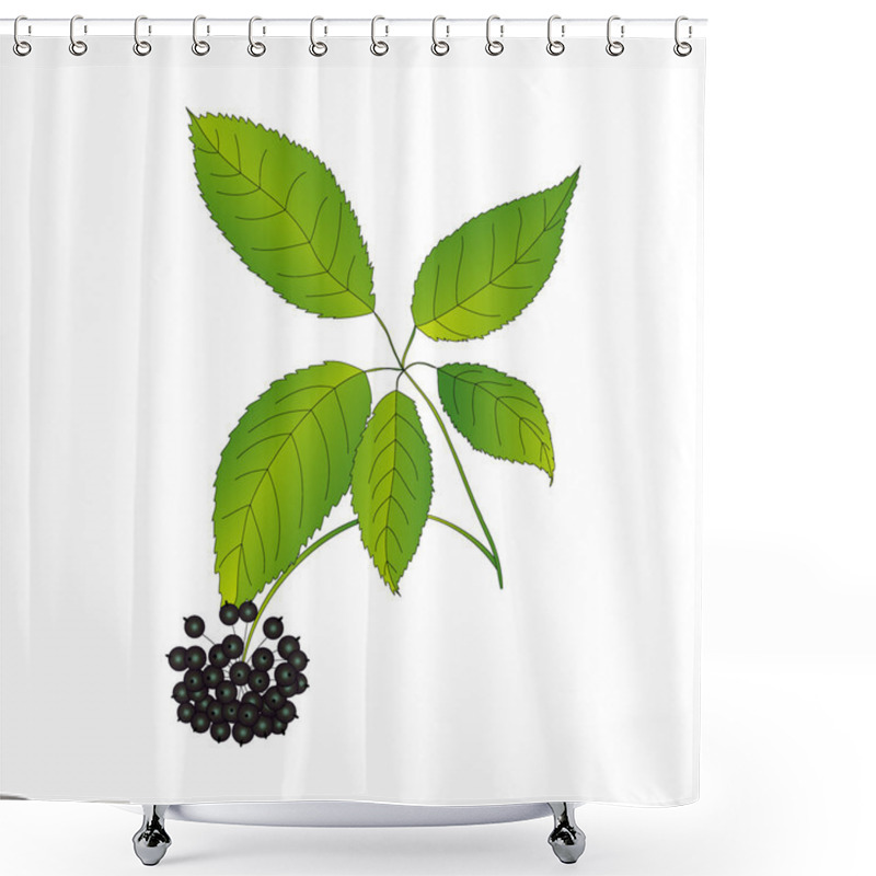 Personality  Eleutherococcus Senticosus Shower Curtains