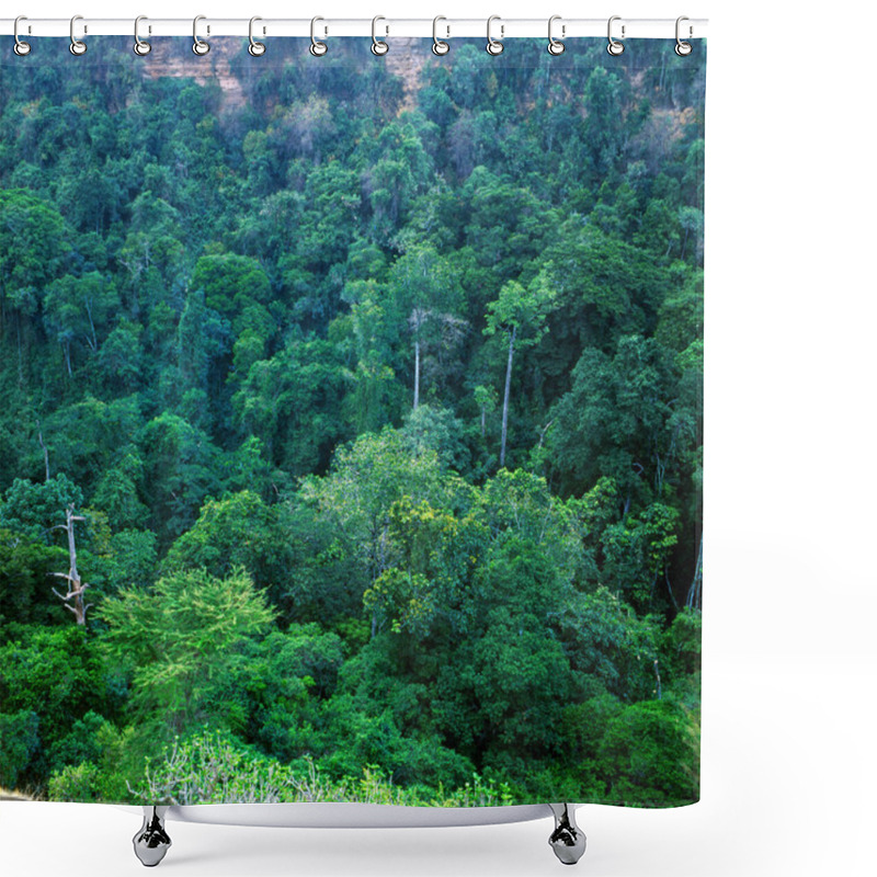 Personality  Tropical Forest In The Queen Elizabeth National Park In Uganda (Africa) Shower Curtains