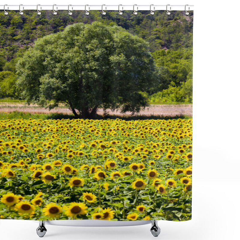 Personality  Sunflowers Shower Curtains