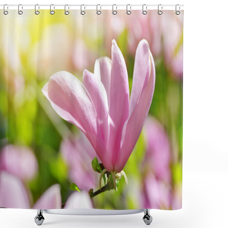 Personality  Spring Magnolia Flowers Shower Curtains