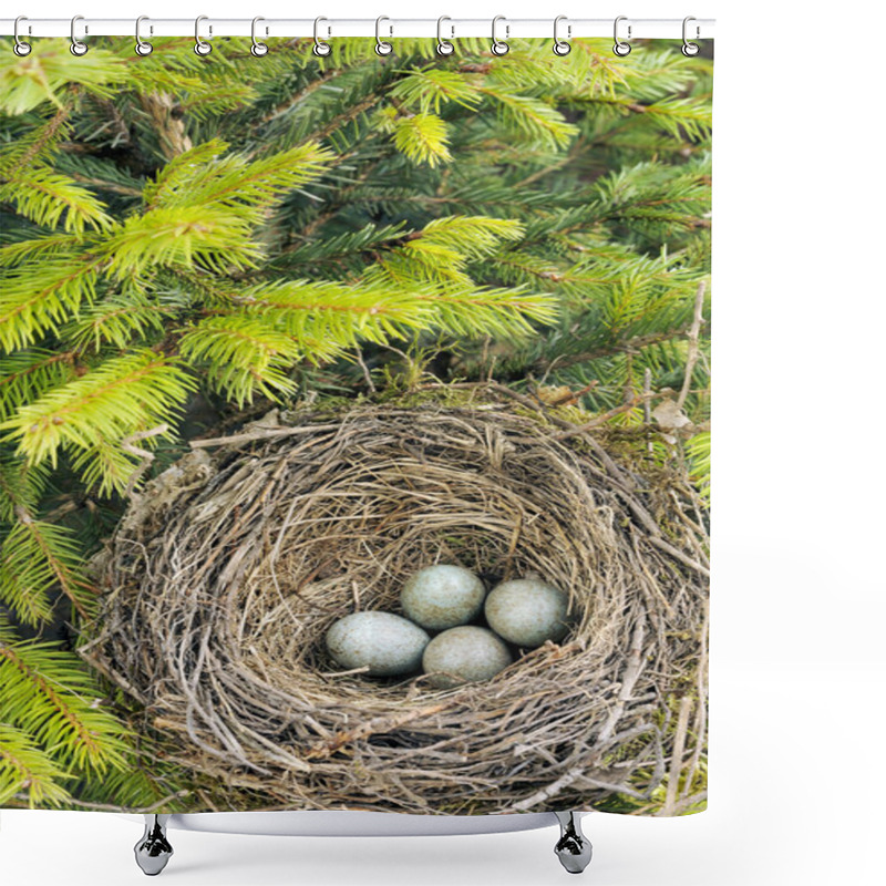 Personality  Detail Of Blackbird Eggs In Nest Shower Curtains