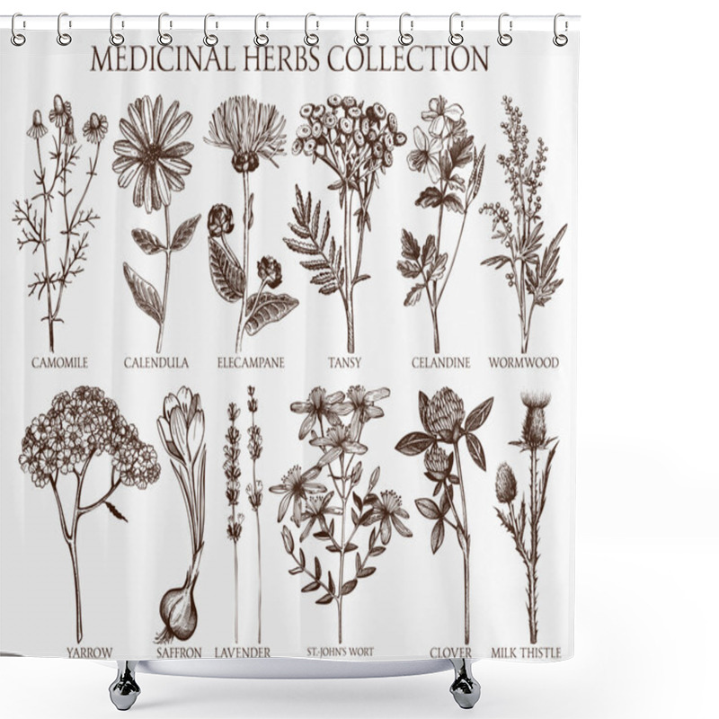 Personality  Medicinal Herbs Collection Shower Curtains