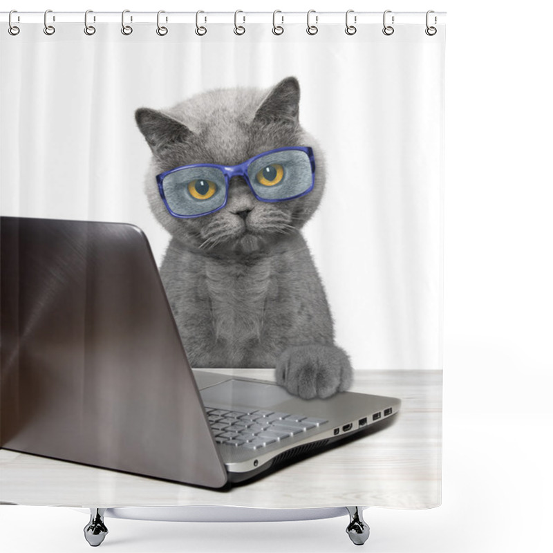 Personality  Cat Using Laptop Or Notebook  Shower Curtains