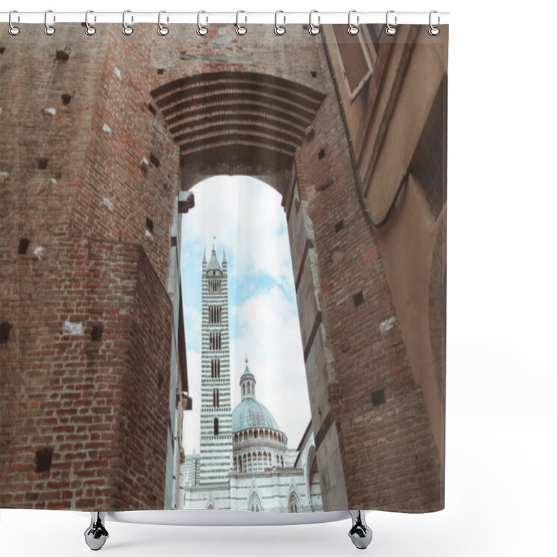 Personality  Siena Cathedral Shower Curtains