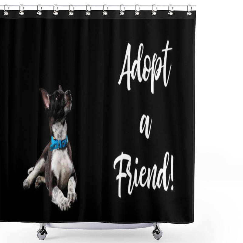 Personality  Dark Mongrel Dog In Blue Collar And Lettering Adopt A Friend Isolated On Black Shower Curtains