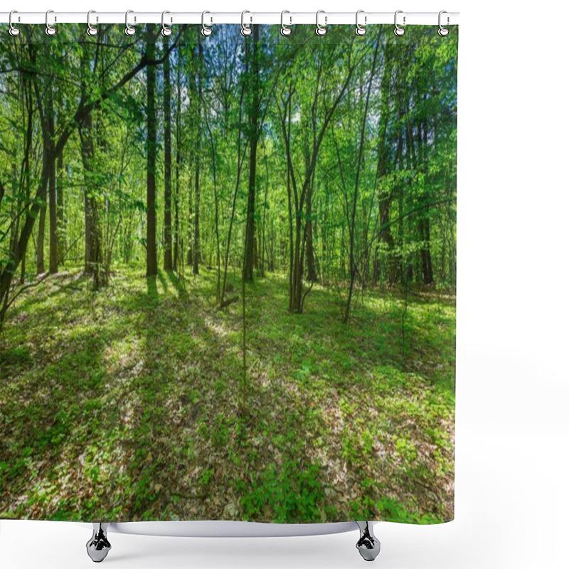 Personality  Beautiful Green Springtime Forest Shower Curtains