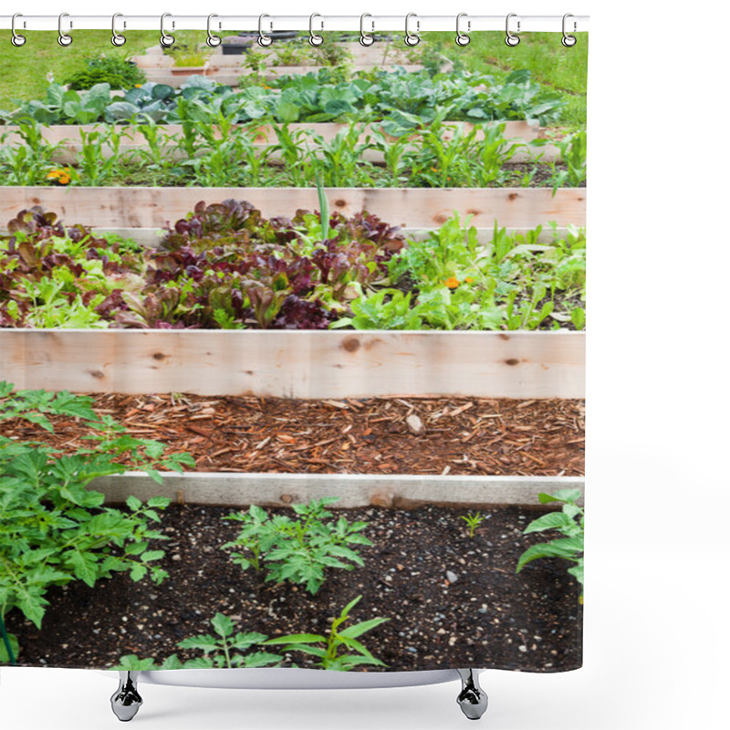 Personality  Raised Vegetable Gardens Shower Curtains