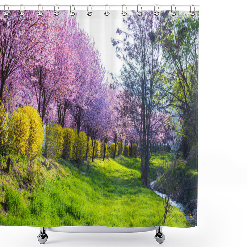 Personality  Garden With Blooming Sakura Trees In Spring Shower Curtains