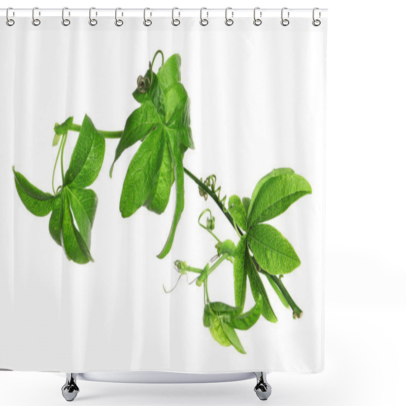 Personality  Branch Of Passion Fruit Plant (Passiflora) Isolated On White Shower Curtains