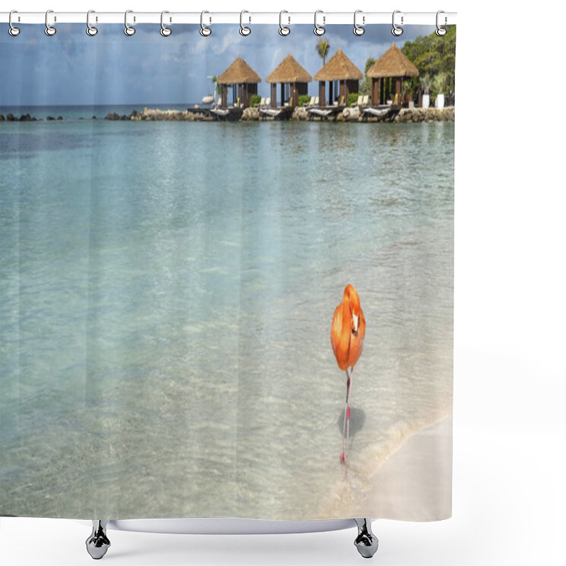 Personality  Wild Pink Flamingo On A Caribbean Beach With Cabanas In The Background Shower Curtains