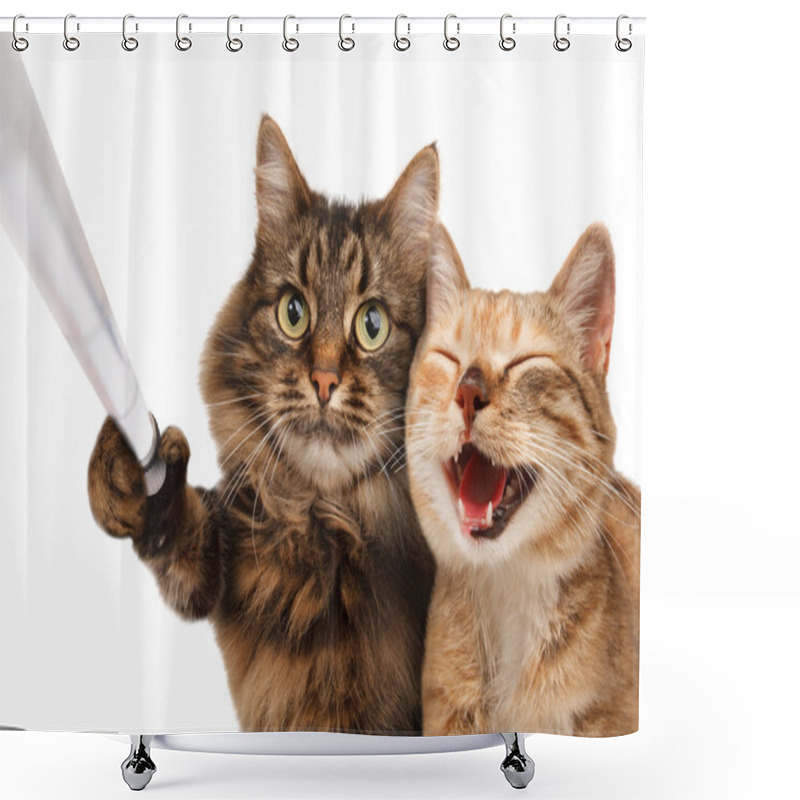 Personality  Funny Cats - Self Picture. Shower Curtains