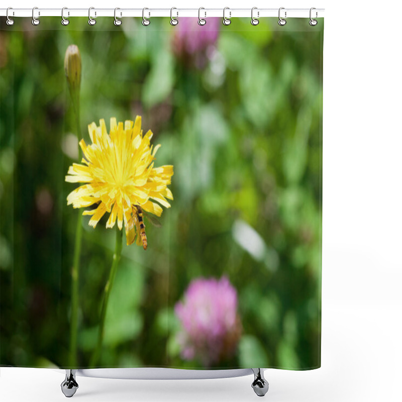 Personality  Flower Sonchus And Hoverfly Shower Curtains