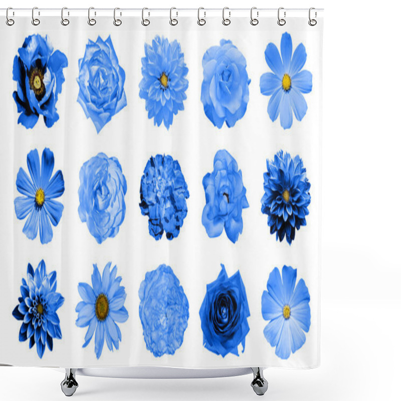 Personality  Mix Collage Of Natural And Surreal Blue Flowers 15 In 1: Dahlias, Primulas, Perennial Aster, Daisy Flower, Roses, Peony Isolated On White Shower Curtains