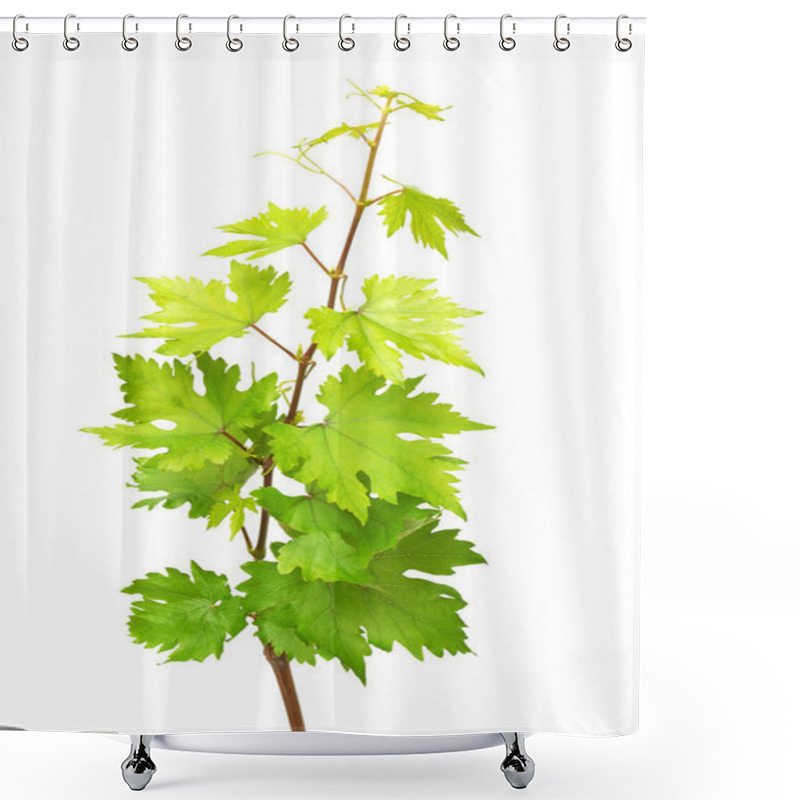 Personality  Grape Branch And Leaves  Shower Curtains