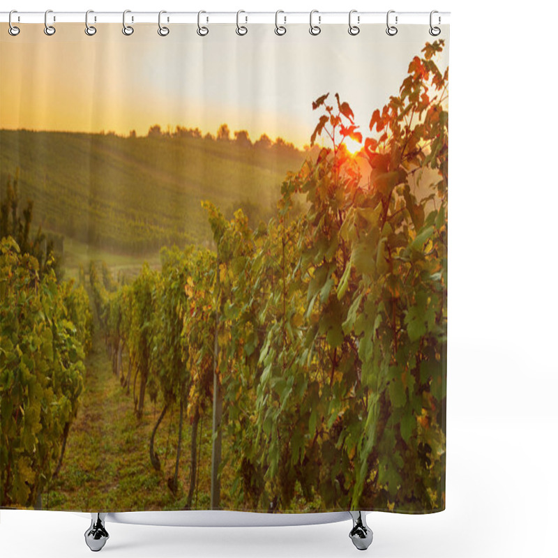 Personality  Vineyard Valley At Sunrise With Sunbeams Shower Curtains