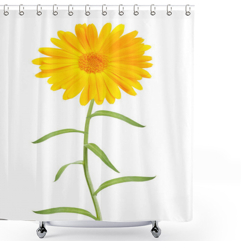 Personality  Marigold Shower Curtains