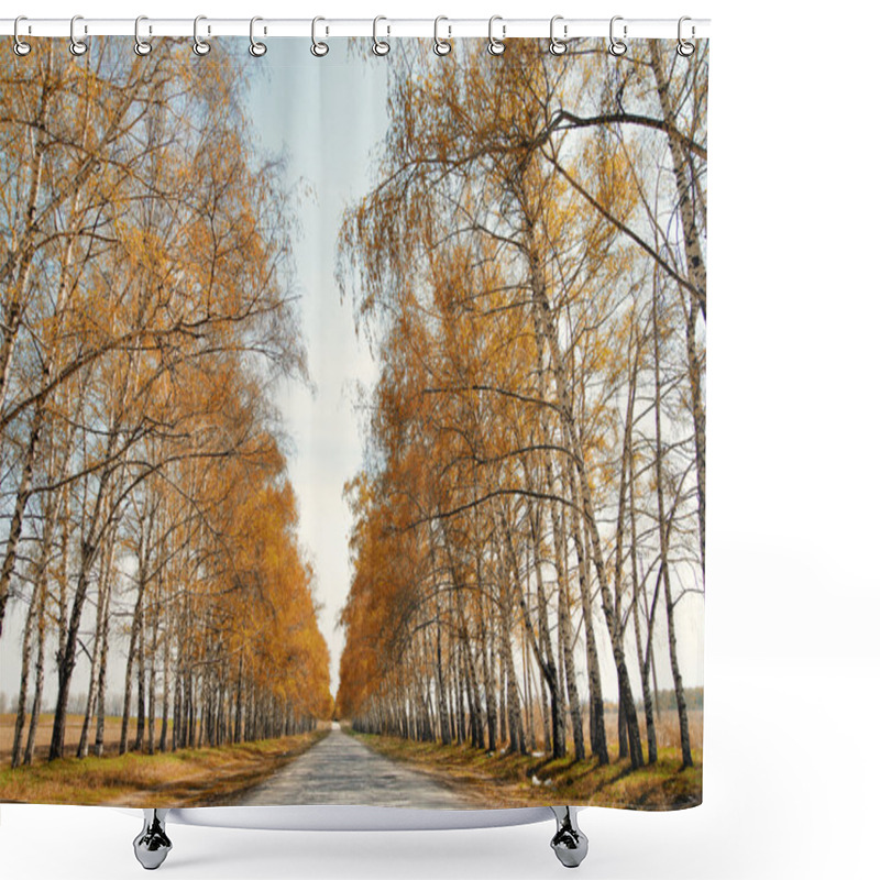 Personality  Road To The Autumn Shower Curtains