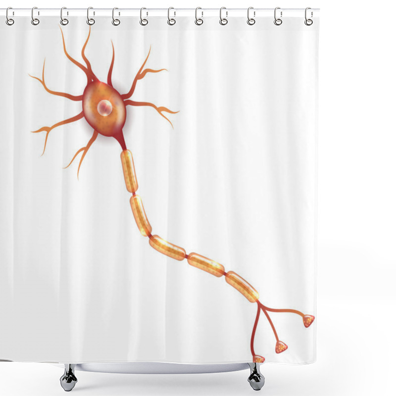 Personality  Nerve Cell Illustration Shower Curtains