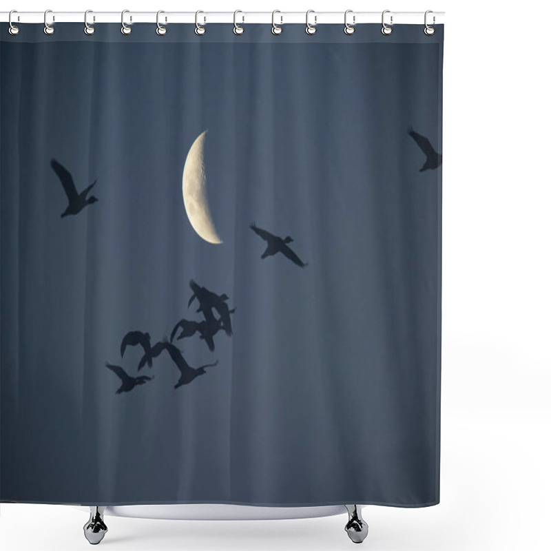 Personality  Moon In A Clear Sky Before Dark Shower Curtains