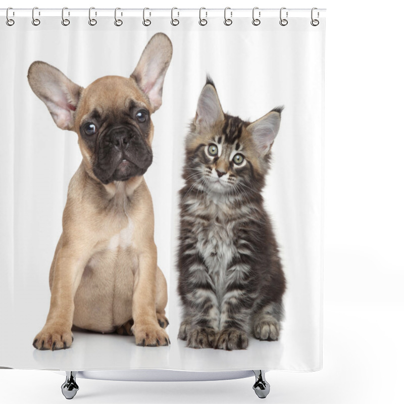 Personality  Puppy And Kitten On White Background Shower Curtains