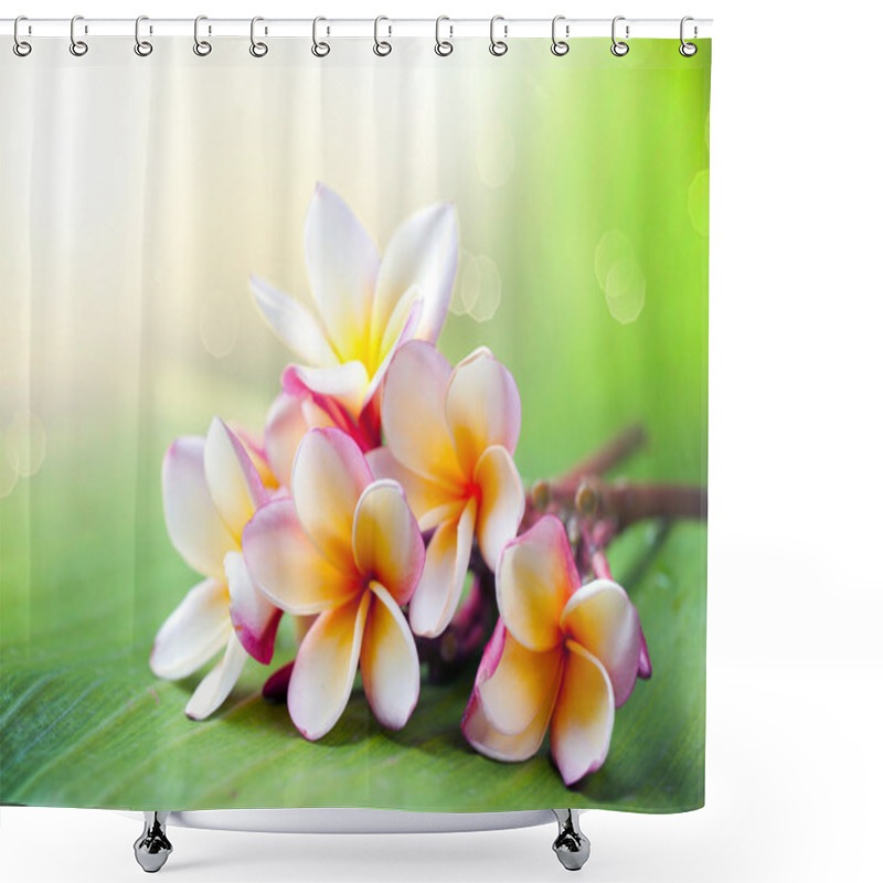 Personality  Frangipani Tropical Spa Flower. Plumeria Shower Curtains