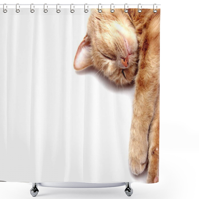 Personality  A Sleeping Red Cat Is Isolated On A White Background. Close Up. Shower Curtains