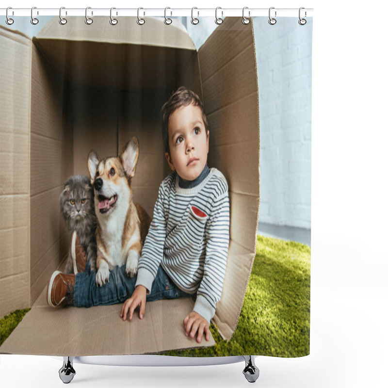 Personality  Little Boy With Adorable Corgi And British Longhair Cat Sitting In Cardboard Box Shower Curtains