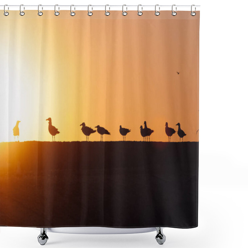 Personality  Silhouettes Of A Flock Of Seagulls At Sunset, Seagulls On The Shore, Shower Curtains