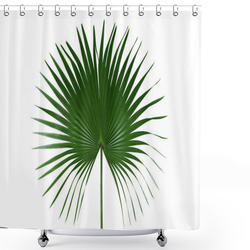 Personality  Palm With Circular Leaves Or Fan Palm Frond Tropical Leaf Nature Green Pattern Isolated On White Background, Clipping Path Included. Shower Curtains