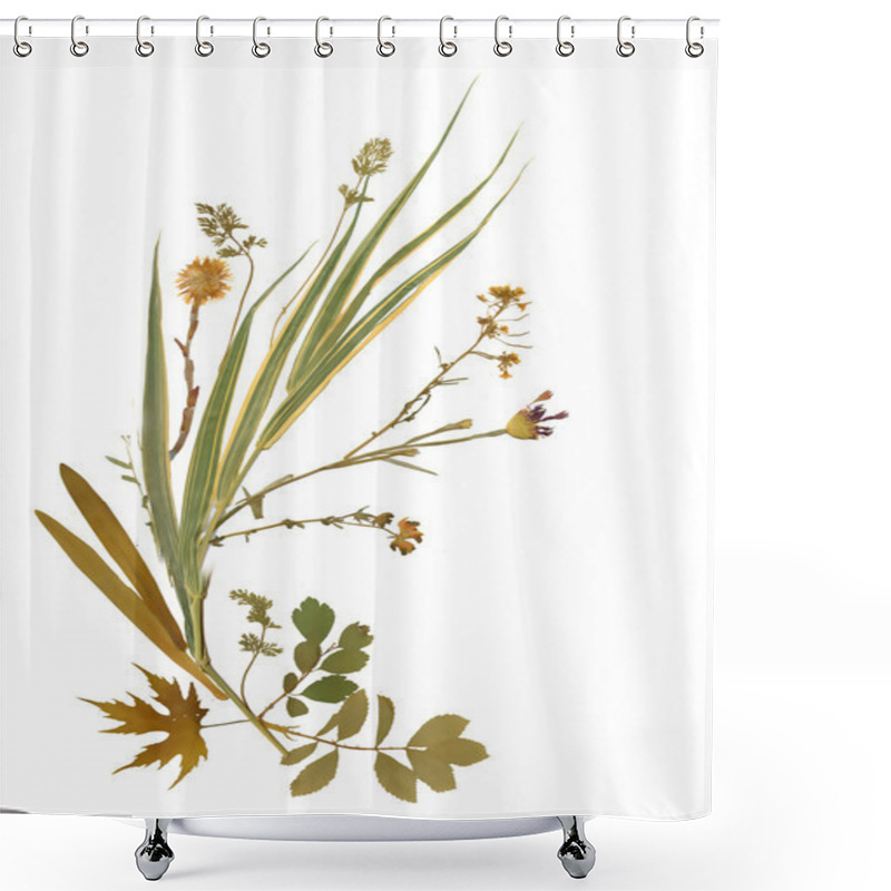 Personality  Dry Herbarium Plants Shower Curtains