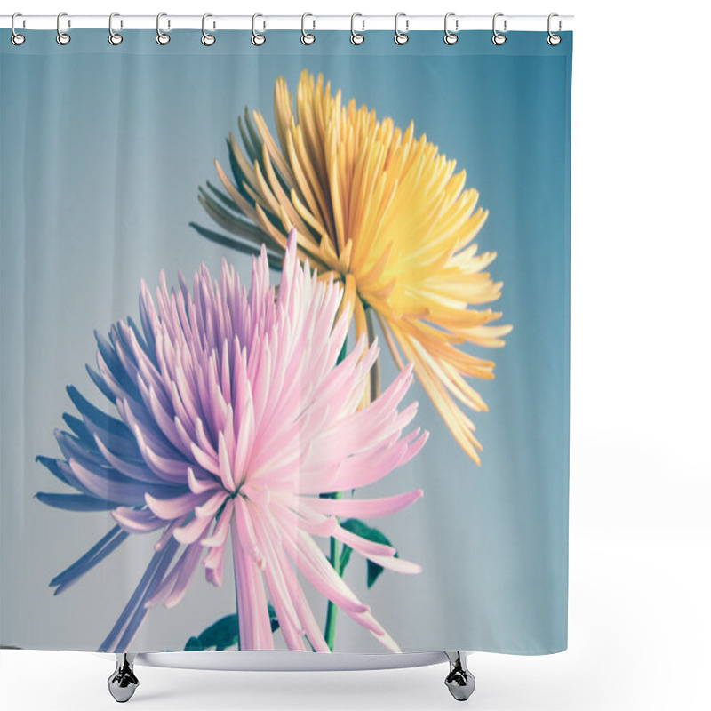 Personality  Chrysanthemums Flowers Shower Curtains