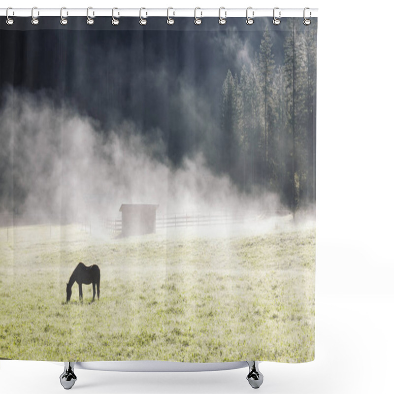 Personality  Early Morning Farm Landscape With Lonely Horse Silhouette In Fog Shower Curtains