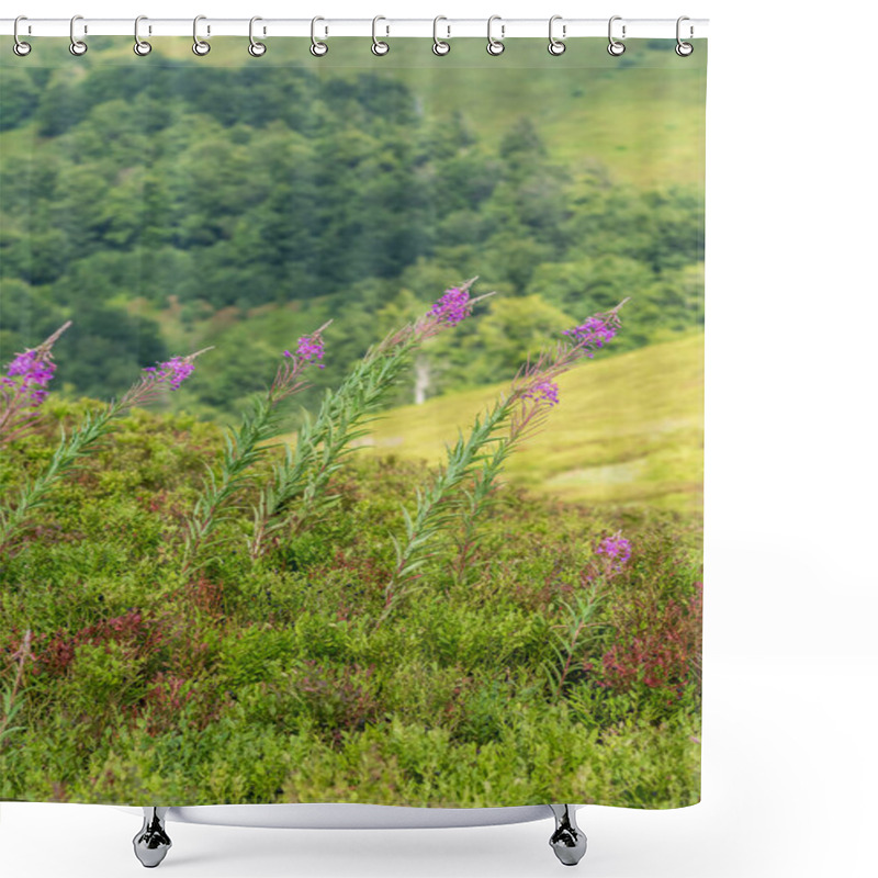 Personality  Capturing The Vibrant Display Of Fireweed Flowers In Full Bloom On A Meadow In The Carpathian Mountains, Showcasing The Beauty Of The Alpine Region Shower Curtains