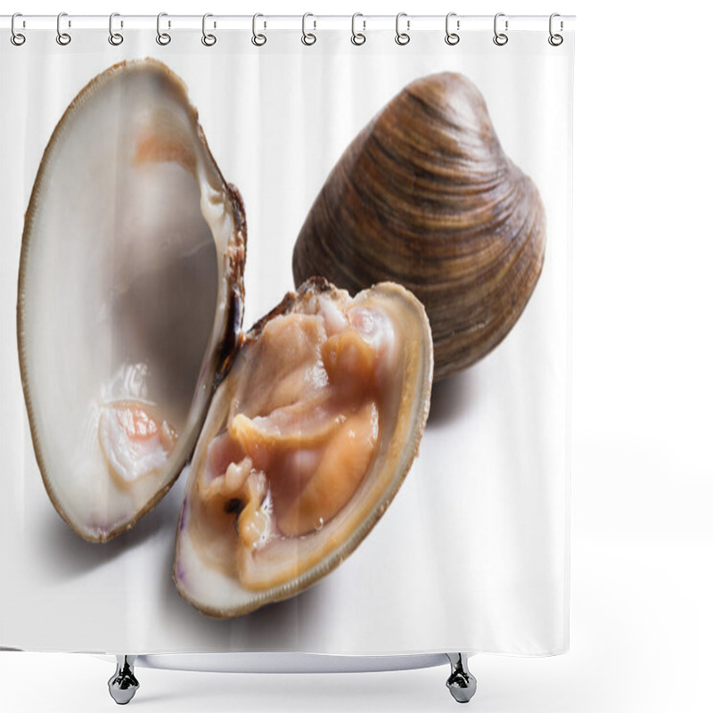 Personality  Clams Isolated On White Background Shower Curtains