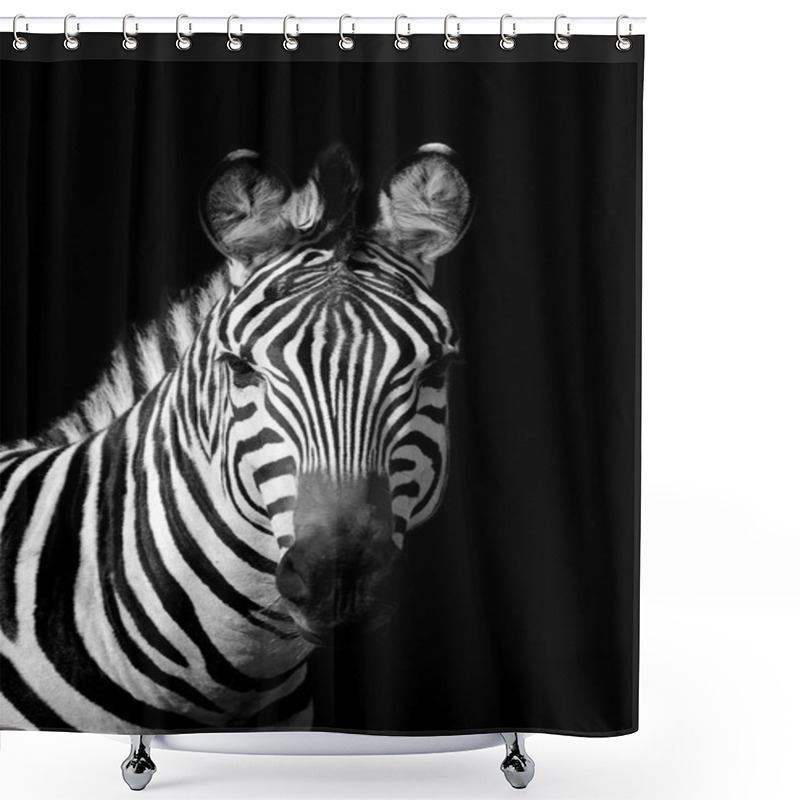 Personality  Zebra On Dark Background Shower Curtains