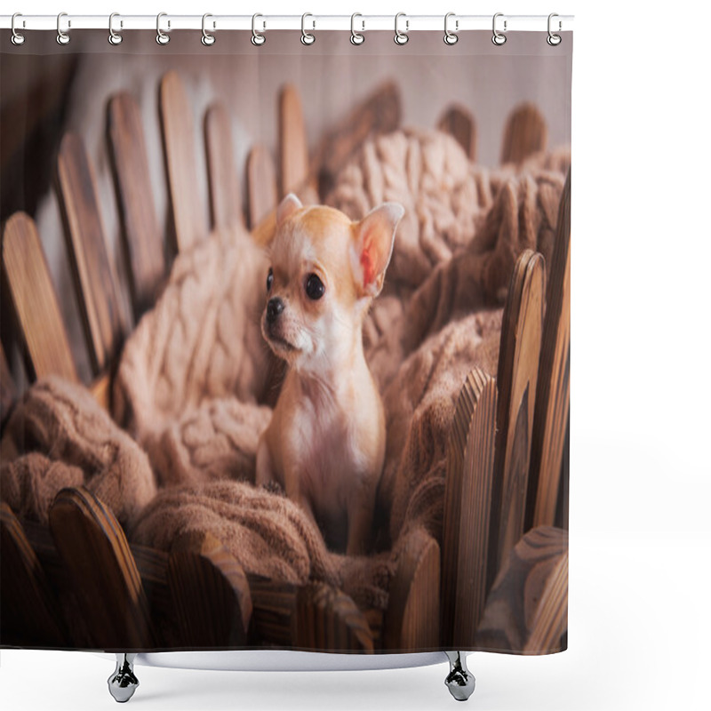 Personality  Dog Breed Chihuahua, Puppy Shower Curtains