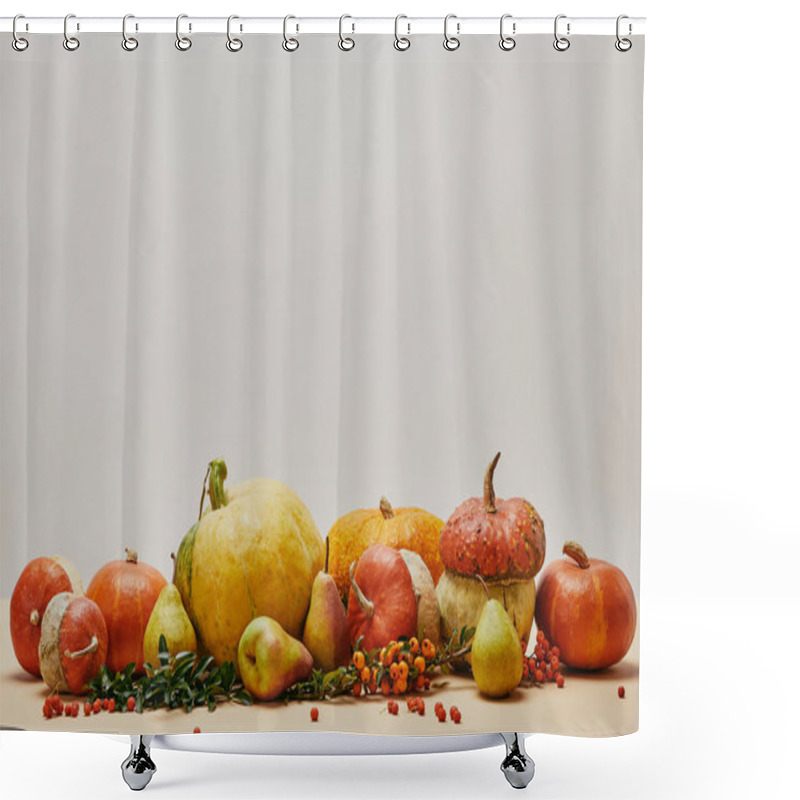 Personality  Autumn Decoration With Pumpkins, Firethorn Berries And Ripe Yummy Pears On Tabletop Shower Curtains