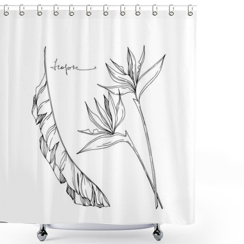 Personality  Vector Tropical Floral Botanical Flowers. Black And White Engraved Ink Art. Isolated Flower Illustration Element. Shower Curtains