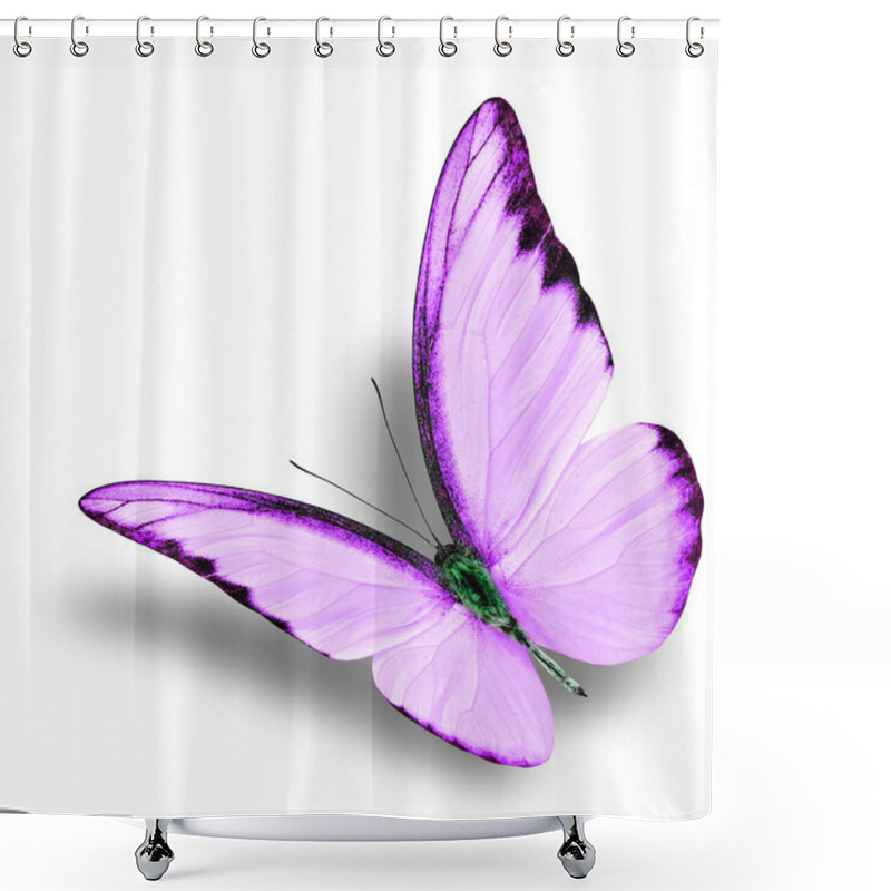 Personality  Beautiful Flying Purple Butterfly On White Background With Soft Shadow (Chocolate Albatross In Exotic Fancy Color Profile) Shower Curtains