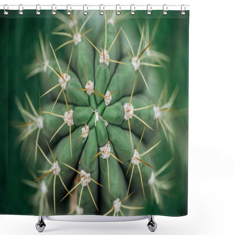 Personality  Top View Of Sharp Needles On Green Cactus Shower Curtains