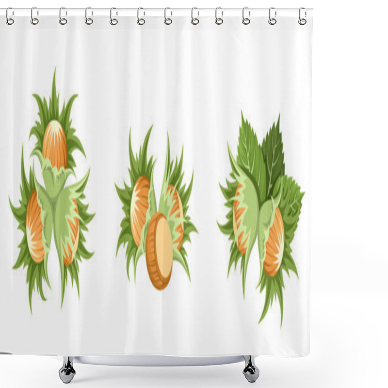 Personality  Hazelnut Clusters. Vector Illustration. Shower Curtains