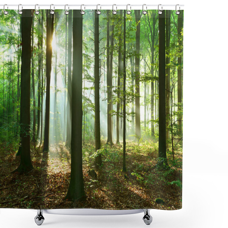 Personality  Beautiful Sunbeams In Autumn Deciduous Forest Shower Curtains