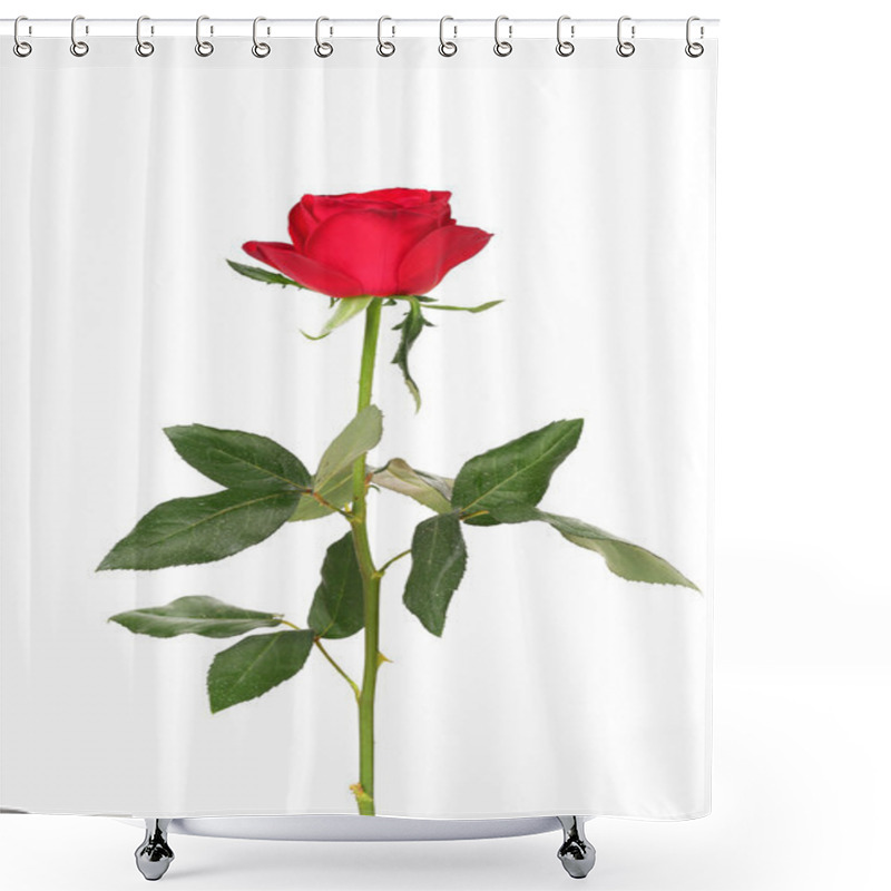 Personality  Red Rose Isolated On White Background. Shower Curtains