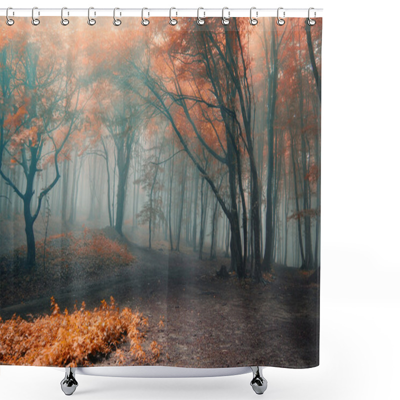 Personality  Trees With Red Leafs In A Forest With Fog Shower Curtains