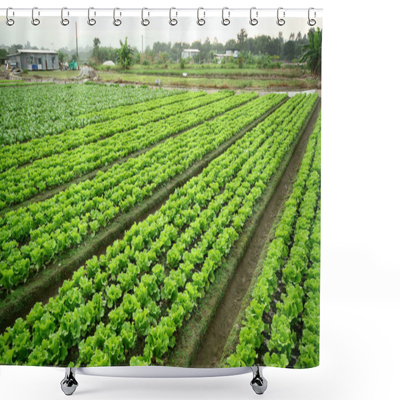 Personality  Cultivated Land Shower Curtains