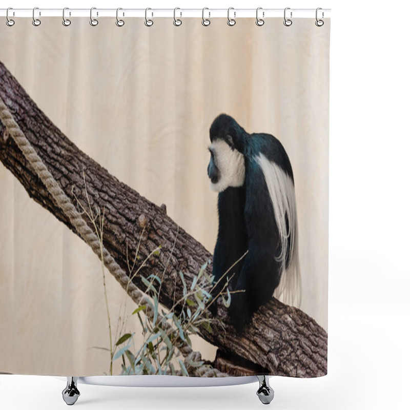 Personality  Selective Focus Of Cute Black And White Monkey Sitting On Tree  Shower Curtains