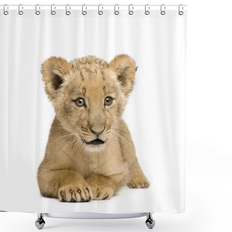 Personality  Lion Cub (8 Weeks) Shower Curtains