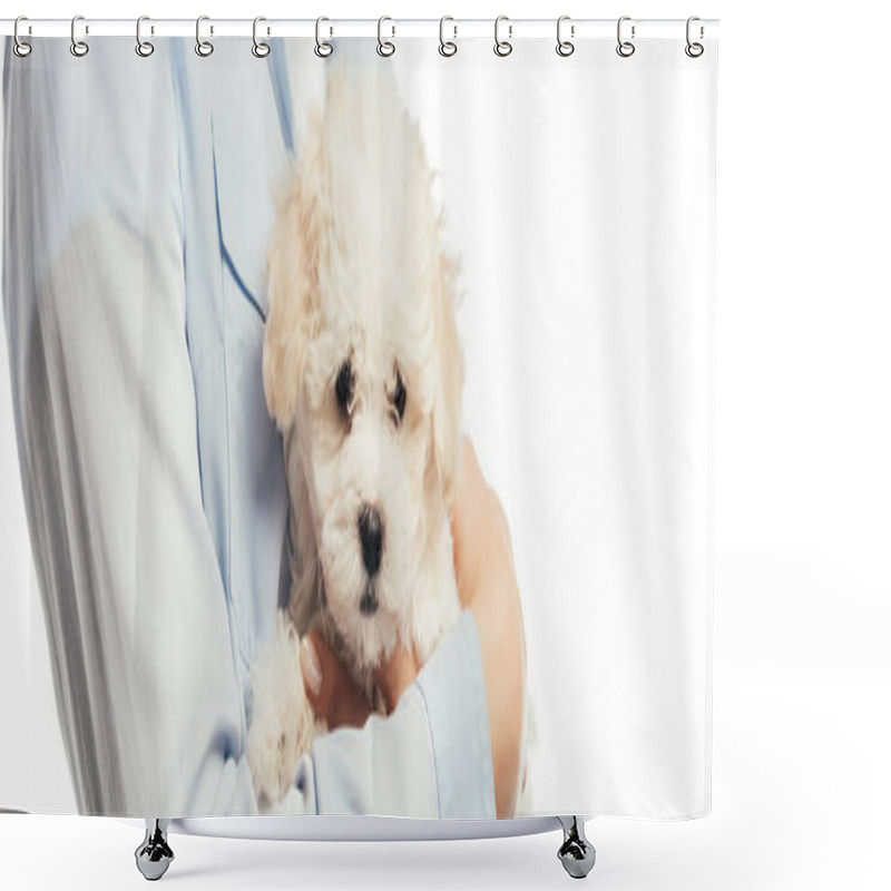 Personality  Panoramic Shot Of Woman Holding Havanese Puppy Isolated On White Shower Curtains