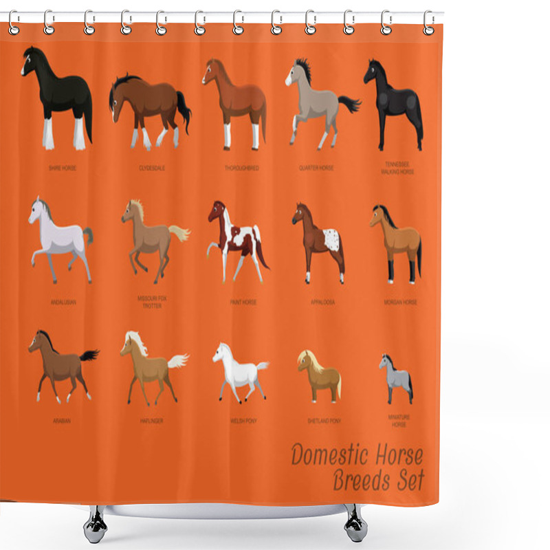 Personality  Domestic Horse Breeds Set Cartoon Vector Illustration Shower Curtains